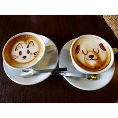Cà phê bột Mocha Capuchino Caffe D'Vita 1.8kg - Thưởng thức vị cà phê hòa quyện chocolate tuyệt hảo từ Mỹ