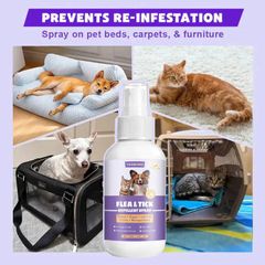 Chai Xịt Ve Rận, Bọ Chét Chó Mèo 50ml Chính Hãng - Loại Bỏ Bọ Chét Trứng Ấu Trùng An Toàn Hiệu Quả