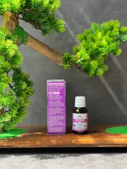 Thực phẩm bổ sung Vitamin D3 Nature's Way Kids Smart (13ml)