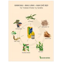 [COMBO 3 CHAI] Dung dịch Vết thương Hedar