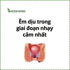 [COMBO 3 CHAI] Dung dịch Vết thương Hedar