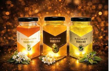 Combo 3 Chai Mật Ong Nguyên Chất Vanbina 250gr - Mật Ong Rừng, Hoa Biển, Hoa Cà Phê - Quà Tặng Thiên Nhiên Từ Việt Nam