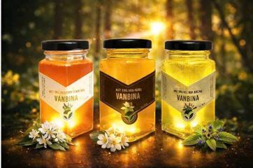Combo 3 Chai Mật Ong Nguyên Chất Vanbina 250gr - Mật Ong Rừng, Hoa Biển, Hoa Cà Phê - Quà Tặng Thiên Nhiên Từ Việt Nam