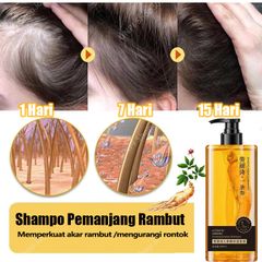 Dầu gội NHÂN SÂM tươi mọc tóc dầu gội chống rụng tóc300ml giảm rụng tóc Mọc Tóc Nhanh kiểm soát Làm mới và kiểm soát dầu