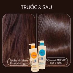 Bộ Gội Xả Olexrs Argan Oil Collagen 500ml - Phục Hồi Tóc Hư Tổn - Chăm Sóc Tóc Chuyên Sâu