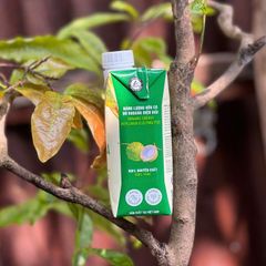 Mật hoa dừa tươi Organic Sokfarm 330ml