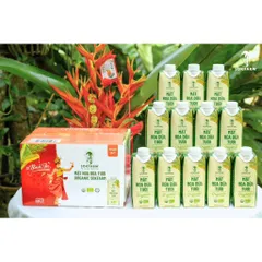 [Hoả tốc HCM] Hộp quà tết 12 Hộp Mật hoa dừa tươi Organic Sokfarm 330ml
