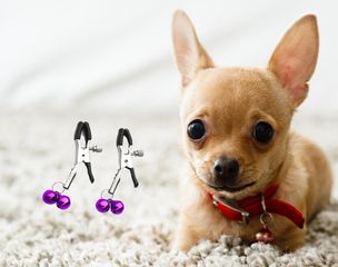 Combo 2 chiếc kẹp chuông lục lạc thú cưng có thể điều chỉnh được lực kẹp