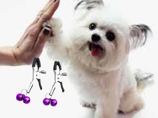 Combo 2 chiếc kẹp chuông lục lạc thú cưng có thể điều chỉnh được lực kẹp