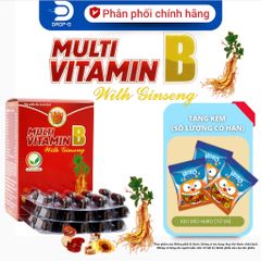 (Chính hãng) Viên Uống Bổ Sung Vitamin B [TPBVSK Multi Vitamin B With Ginseng Plus]_H/6 vỉx10viên