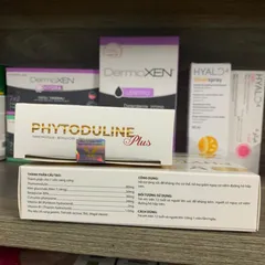 (Chính Hãng) Viên uống hỗ trợ tăng sức đề kháng [TPBVSK Phytoduline Plus] - H/30 viên