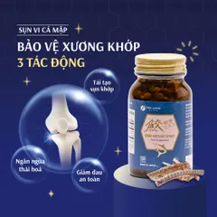 Viên uống Shark Cartilage Extract 520 viên, từ sụn caá mậpp, hỗ trợ tăng sức khỏe sụn khớp