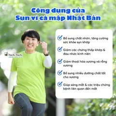 Viên uống Shark Cartilage Extract 520 viên, từ sụn caá mậpp, hỗ trợ tăng sức khỏe sụn khớp