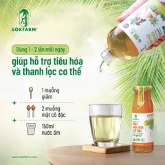 Combo giấm hoa dừa và mật hoa dừa cô đặc Sokfarm tốt cho hệ tiêu hoá 627355