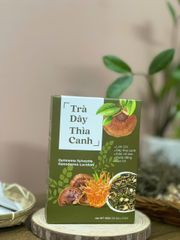 Trà Dây Thìa Canh Linh Chi Mộc Tâm Hỗ Trợ Ổn Định Đường Huyết- Huyết Áp & Gan Nhiễm Mỡ Hộp 30 túi lọc x 3gr
