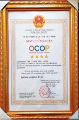 Trà Thìa Canh Khổ Qua HerbaFood - Hỗ Trợ Ổn Định Chỉ Số Đường Huyết, Giảm mỡ máu (Hộp 60 Túi Lọc x 4.5g)