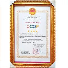 Trà Cà Gai Leo THÁI HƯNG Hạ men gan, mỡ gan, xóa mụn nhọt mẩn ngứa - Bịch 100 túi lọc 5g