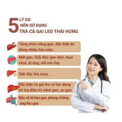 Trà Cà Gai Leo THÁI HƯNG Hạ men gan, mỡ gan, xóa mụn nhọt mẩn ngứa - Bịch 100 túi lọc 5g