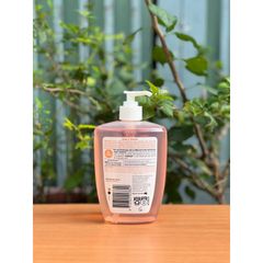 [Nhập khẩu chính ngạch] Dung dịch vệ sinh Femfresh Daily Wash hằng ngày - femfresh cam