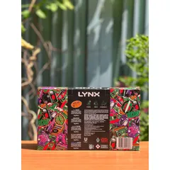 Set 5 chai xịt khử mùi LYNX deodorant spray 629126