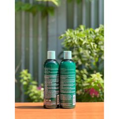 Combo Dầu Gội Xả Hask Tea Tree Oil & Rosemary Phục Hồi Tóc Chắc Khỏe 355ml 629533