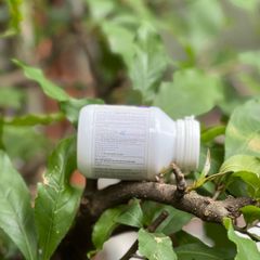 [Nhập khẩu chính ngạch] Viên hỗ trợ tăng chiều cao cho bé Lysine viên Bio Island Lysine 60 viên hàng Úc