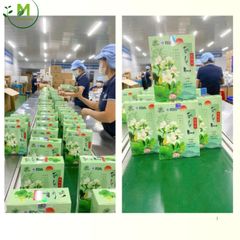 Trà Lá Nam Mộc Tâm Hỗ Trợ Giảm Cân, Tiêu Mỡ, Mát Gan, Thanh Lọc Cơ Thể, Tiêu Hóa Tốt, Đẹp Da (30 túi x 3gr)