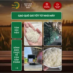 Gạo Phúc Cư | 20KG Gạo Quê Tám Hải Hậu Vụ Mới Xát Mộc (LOẠI NGON) Hạt Dài Cơm Mềm Thơm Ngon