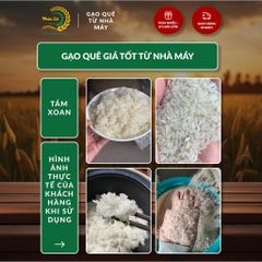 Gạo Phúc Cư | 20KG Gạo Quê Tám Xoan Vụ Mới Xát Mộc (LOẠI NGON) Hạt Dài Cơm Mềm Thơm Ngon