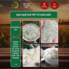 Gạo Phúc Cư | 20KG Gạo Quê Hương Lài Vụ Mới (LOẠI NGON) Hạt Dài Cơm Mềm Thơm Ngon
