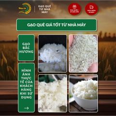Gạo Phúc Cư | 30KG Gạo Bắc Hương Vụ Mới (LOẠI NGON) Hạt Dài Cơm Mềm Thơm Ngon