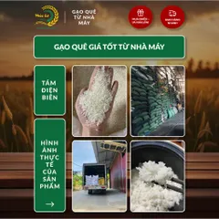 Gạo Phúc Cư | 40KG Gạo Quê Tám Điện Biên Vụ Mới Xát Mộc (LOẠI NGON) Hạt Dài Cơm Mềm Thơm Ngon