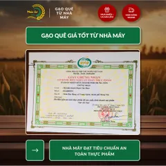 Gạo Phúc Cư | 60KG Gạo BC Thái Bình (LOẠI NGON) Hạt Dài Cơm Mềm Thơm Ngon