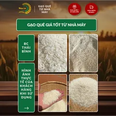 Gạo Phúc Cư | 10KG Gạo BC Thái Bình (LOẠI NGON) Hạt Dài Cơm Mềm Thơm Ngon