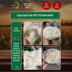 Gạo Phúc Cư | 5KG Gạo Quê Đài Thơm Vụ Mới Xát Mộc (LOẠI NGON) Hạt Dài Cơm Mềm Thơm Ngon