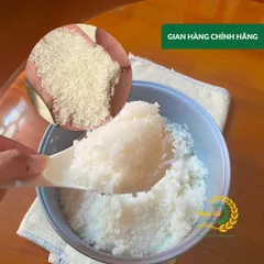 Gạo Phúc Cư | 50KG Gạo ST25 Nam Định Dẻo Vừa Cơm Mềm Thơm Ngon Giá Sỉ Nhà Máy