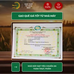 Gạo Phúc Cư | 50KG Gạo ST25 Nam Định Dẻo Vừa Cơm Mềm Thơm Ngon Giá Sỉ Nhà Máy