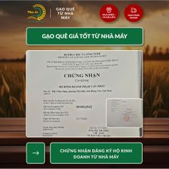 Gạo Phúc Cư | 50KG Gạo ST25 Nam Định Dẻo Vừa Cơm Mềm Thơm Ngon Giá Sỉ Nhà Máy
