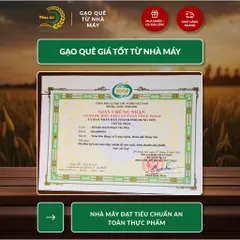Gạo Phúc Cư | 20KG Gạo Lài Thơm Nam Định (LOẠI NGON) Hạt Dài Cơm Mềm Thơm Ngon