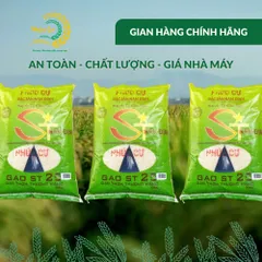 Gạo Phúc Cư | 30KG Gạo ST25 Nam Định Dẻo Vừa Cơm Mềm Thơm Ngon Giá Sỉ Nhà Máy