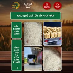 Gạo Phúc Cư | 10KG Gạo Bắc Thơm Nam Định (LOẠI NGON) Hạt Dài Cơm Mềm Thơm Ngon
