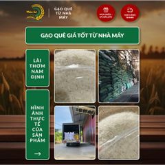 Gạo Phúc Cư | 50KG Gạo Lài Thơm Nam Định (LOẠI NGON) Hạt Dài Cơm Mềm Thơm Ngon