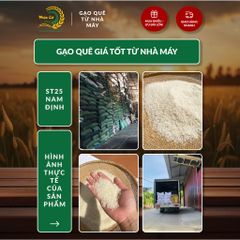 Gạo Phúc Cư | 30KG Gạo ST25 Nam Định Đậm Vị Cơm Mềm Thơm Ngon Giá Sỉ Nhà Máy