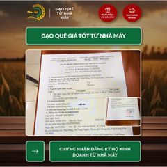 Gạo Phúc Cư | 60KG Gạo ST25 Nam Định Đậm Vị Cơm Mềm Thơm Ngon Giá Sỉ Nhà Máy