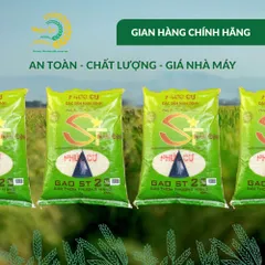 Gạo Phúc Cư | 40KG Gạo ST25 Nam Định Đậm Vị Cơm Mềm Thơm Ngon Giá Sỉ Nhà Máy