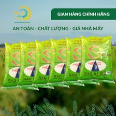 Gạo Phúc Cư | 60KG Gạo ST25 Nam Định Dẻo Vừa Cơm Mềm Thơm Ngon Giá Sỉ Nhà Máy