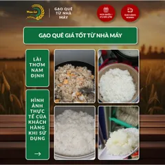 Gạo Phúc Cư | 10KG Gạo Lài Thơm Nam Định (LOẠI NGON) Hạt Dài Cơm Mềm Thơm Ngon