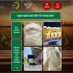 Gạo Phúc Cư | 20KG Gạo BC Nam Định (LOẠI NGON) Hạt Dài Cơm Mềm Thơm Ngon