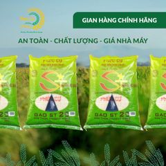 Gạo Phúc Cư | 40KG Gạo ST25 Nam Định Chính Gốc Dẻo Thơm Đặc Sản Hạt Dài Trắng Trong Cơm Ngon
