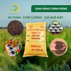 Gạo Phúc Cư | 10KG Gạo Nếp Cẩm Điện Biên Đặc Sản Dẻo Thơm Nấu Xôi Sữa Chua Thơm Ngon